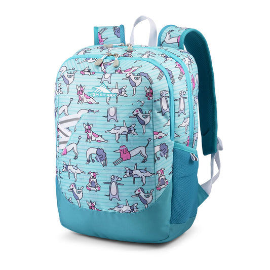 High Sierra Outburst Backpack - Flexible Fetch